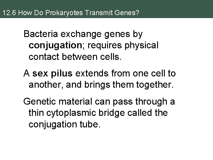 12. 6 How Do Prokaryotes Transmit Genes? Bacteria exchange genes by conjugation; requires physical