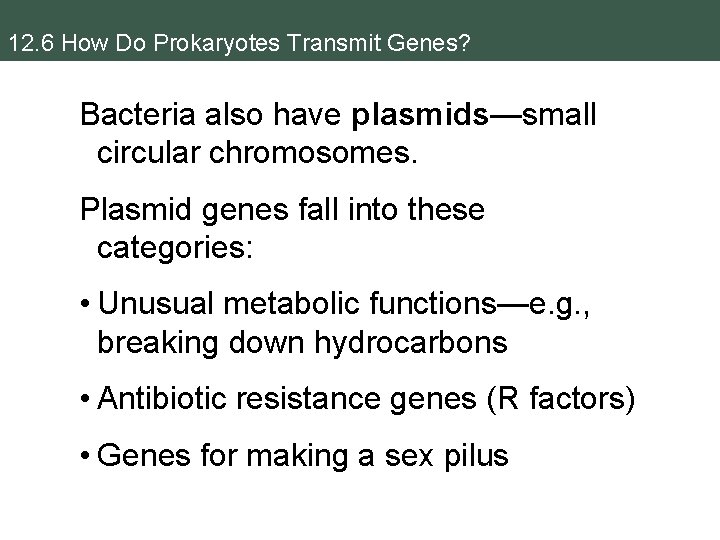 12. 6 How Do Prokaryotes Transmit Genes? Bacteria also have plasmids—small circular chromosomes. Plasmid