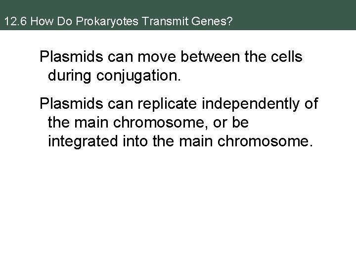 12. 6 How Do Prokaryotes Transmit Genes? Plasmids can move between the cells during