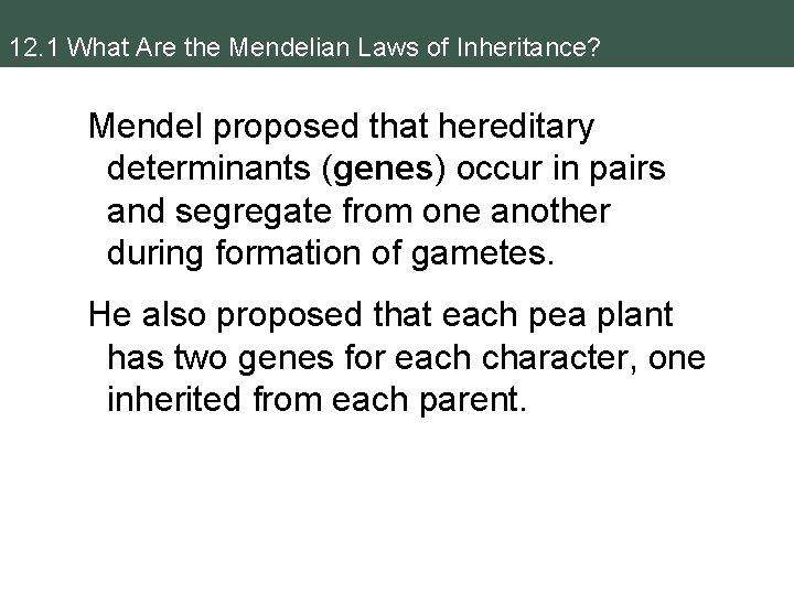 12. 1 What Are the Mendelian Laws of Inheritance? Mendel proposed that hereditary determinants