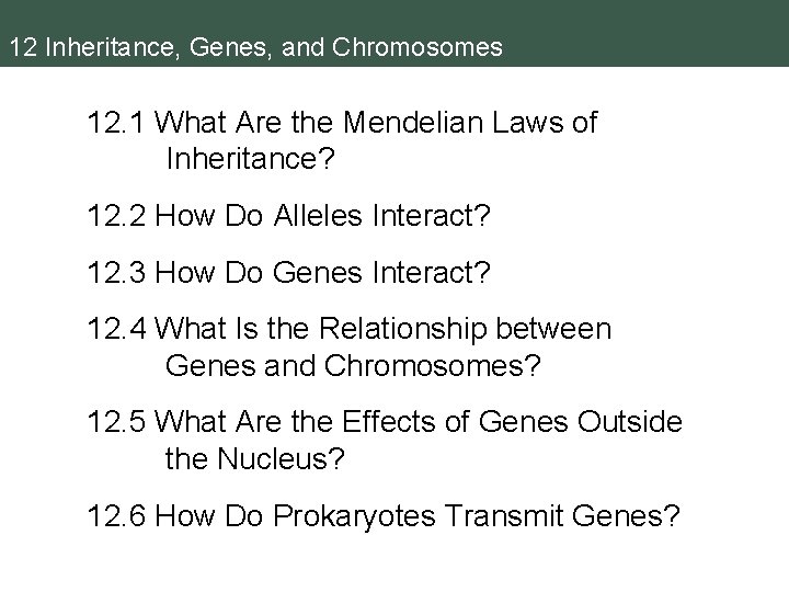 12 Inheritance, Genes, and Chromosomes 12. 1 What Are the Mendelian Laws of Inheritance? 12 Inheritance, Genes, and Chromosomes 12. 1 What Are the Mendelian Laws of Inheritance?