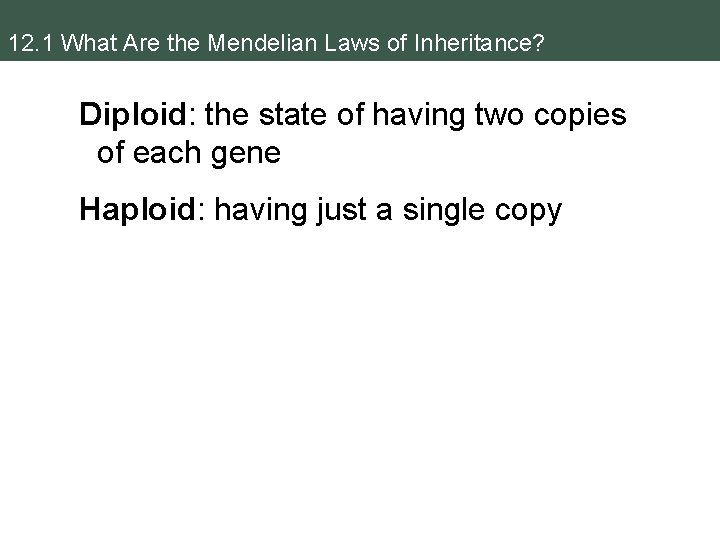 12. 1 What Are the Mendelian Laws of Inheritance? Diploid: the state of having