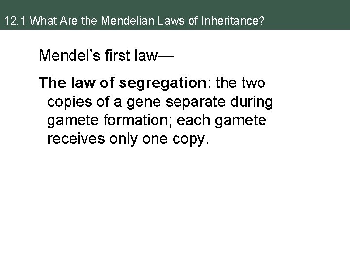 12. 1 What Are the Mendelian Laws of Inheritance? Mendel’s first law— The law
