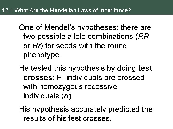 12. 1 What Are the Mendelian Laws of Inheritance? One of Mendel’s hypotheses: there