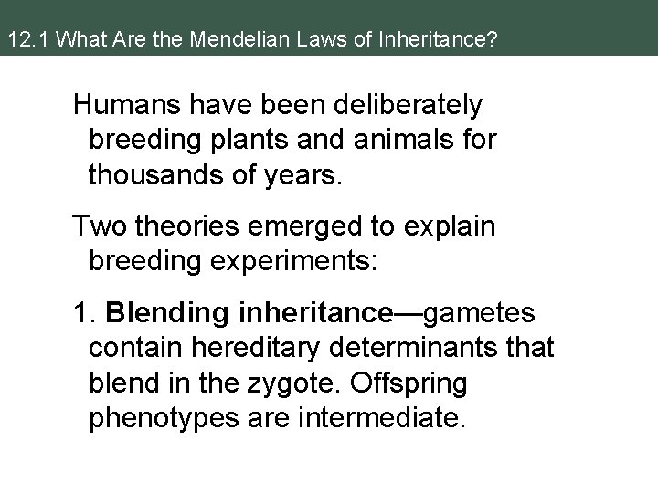 12. 1 What Are the Mendelian Laws of Inheritance? Humans have been deliberately breeding