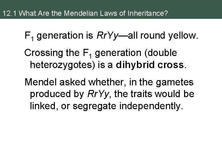 12. 1 What Are the Mendelian Laws of Inheritance? F 1 generation is Rr. 12. 1 What Are the Mendelian Laws of Inheritance? F 1 generation is Rr.