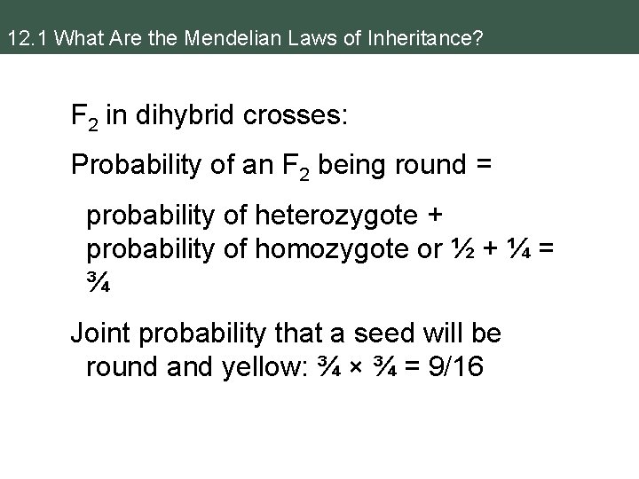 12. 1 What Are the Mendelian Laws of Inheritance? F 2 in dihybrid crosses: