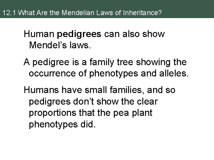 12. 1 What Are the Mendelian Laws of Inheritance? Human pedigrees can also show