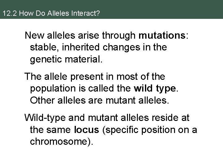 12. 2 How Do Alleles Interact? New alleles arise through mutations: stable, inherited changes