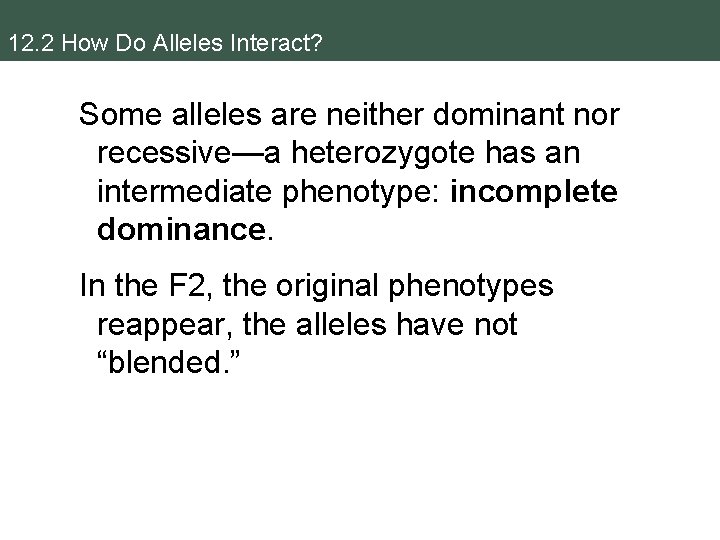 12. 2 How Do Alleles Interact? Some alleles are neither dominant nor recessive—a heterozygote