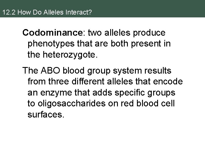 12. 2 How Do Alleles Interact? Codominance: two alleles produce phenotypes that are both