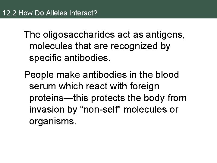 12. 2 How Do Alleles Interact? The oligosaccharides act as antigens, molecules that are