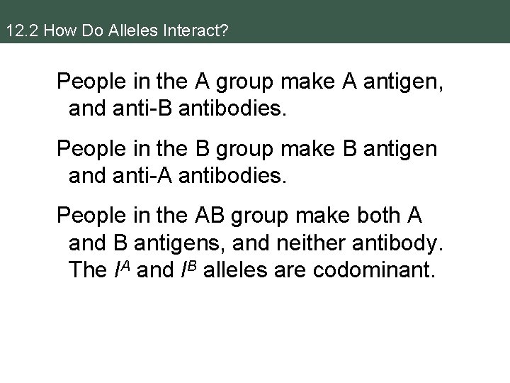 12. 2 How Do Alleles Interact? People in the A group make A antigen,