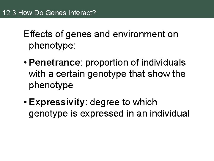 12. 3 How Do Genes Interact? Effects of genes and environment on phenotype: •