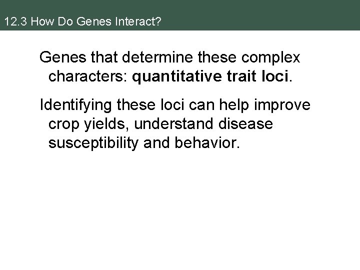 12. 3 How Do Genes Interact? Genes that determine these complex characters: quantitative trait 12. 3 How Do Genes Interact? Genes that determine these complex characters: quantitative trait