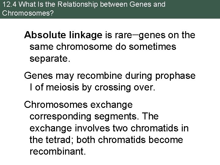 12. 4 What Is the Relationship between Genes and Chromosomes? Absolute linkage is rare—genes