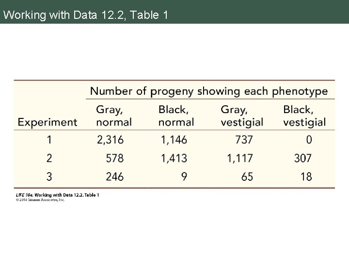 Working with Data 12. 2, Table 1 