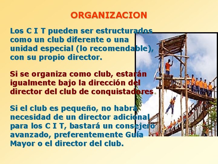 ORGANIZACION Los C I T pueden ser estructurados como un club diferente o una
