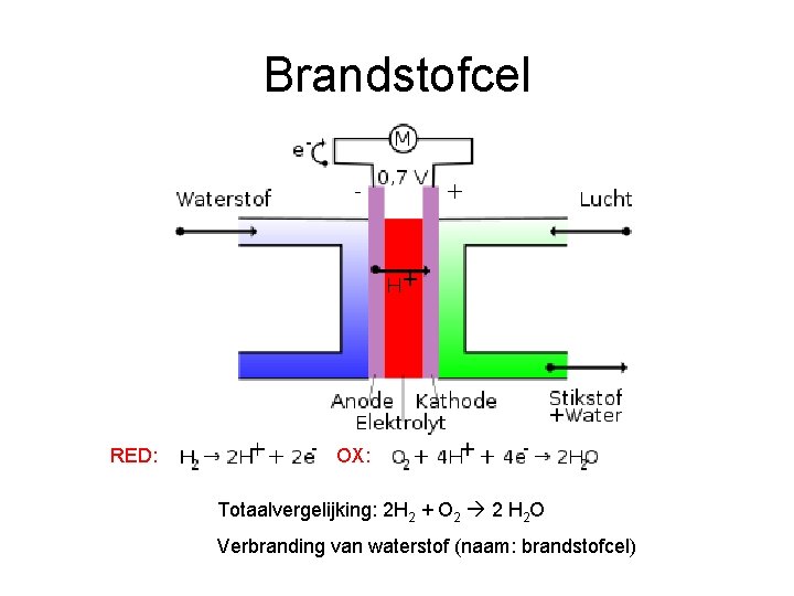 Brandstofcel RED: OX: Totaalvergelijking: 2 H 2 + O 2 2 H 2 O