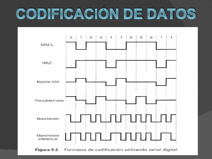 CODIFICACIÓN DE DATOS 