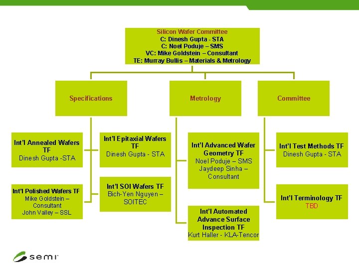 Silicon Wafer Committee C: Dinesh Gupta - STA C: Noel Poduje – SMS VC: