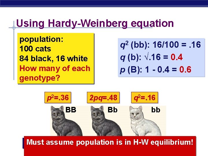 Using Hardy-Weinberg equation population: 100 cats 84 black, 16 white How many of each