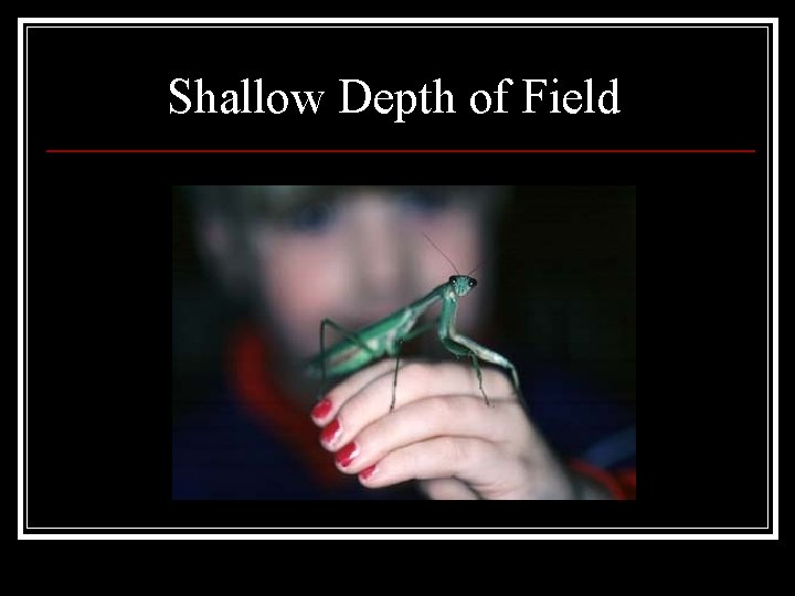 Shallow Depth of Field 