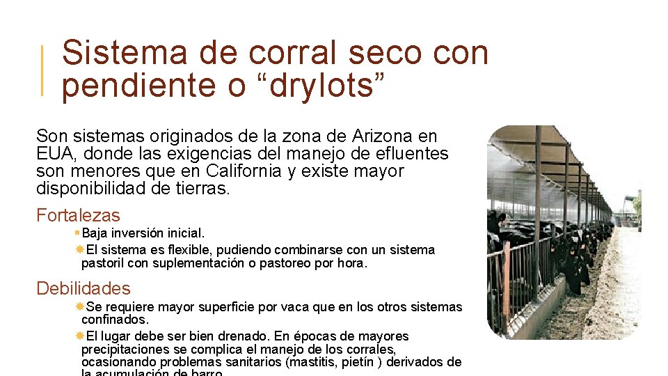Sistema de corral seco con pendiente o “drylots” Son sistemas originados de la zona