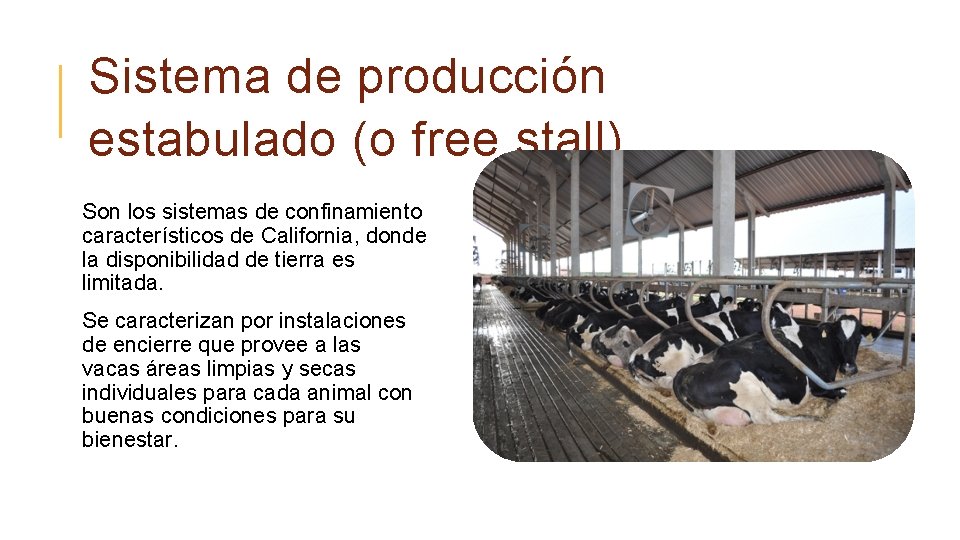 Sistema de producción estabulado (o free stall) Son los sistemas de confinamiento característicos de