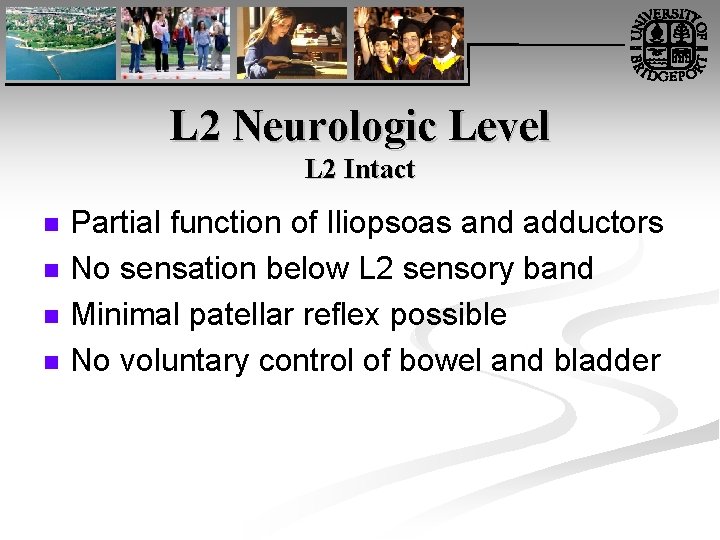 L 2 Neurologic Level L 2 Intact n n Partial function of Iliopsoas and