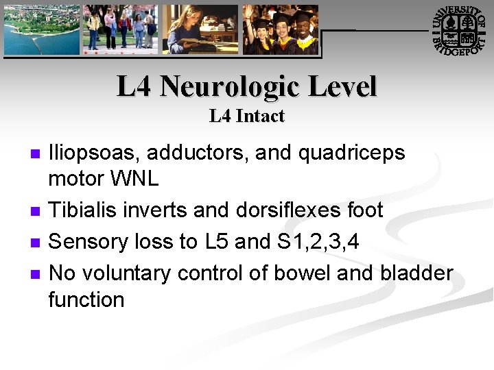 L 4 Neurologic Level L 4 Intact n n Iliopsoas, adductors, and quadriceps motor