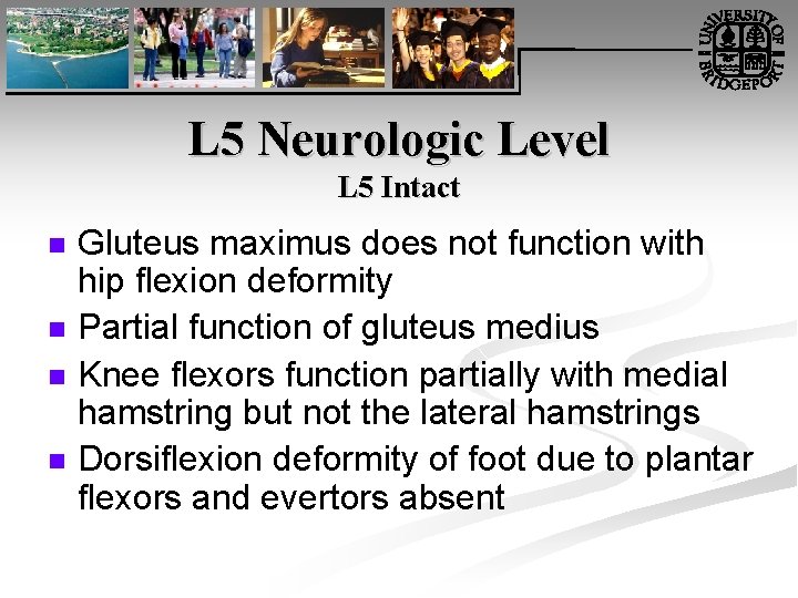 L 5 Neurologic Level L 5 Intact n n Gluteus maximus does not function