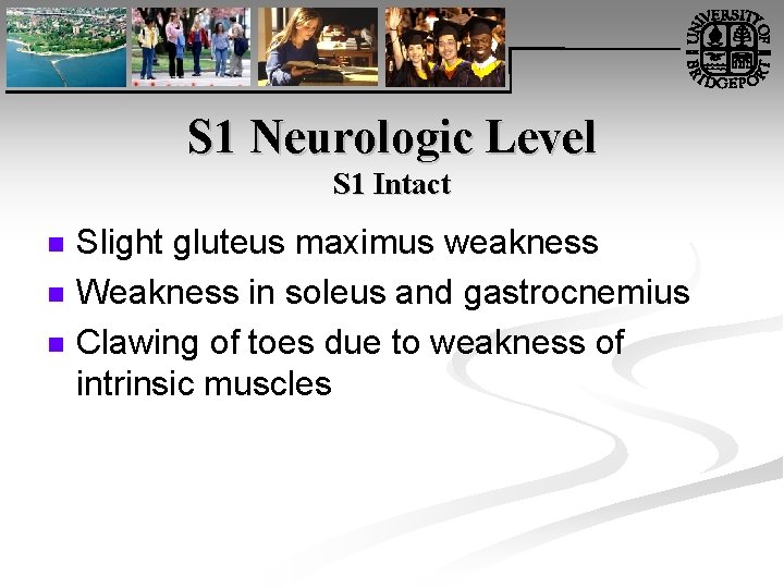 S 1 Neurologic Level S 1 Intact n n n Slight gluteus maximus weakness