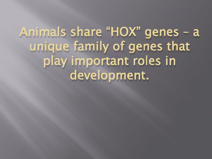 Animals share “HOX” genes – a unique family of genes that play important roles