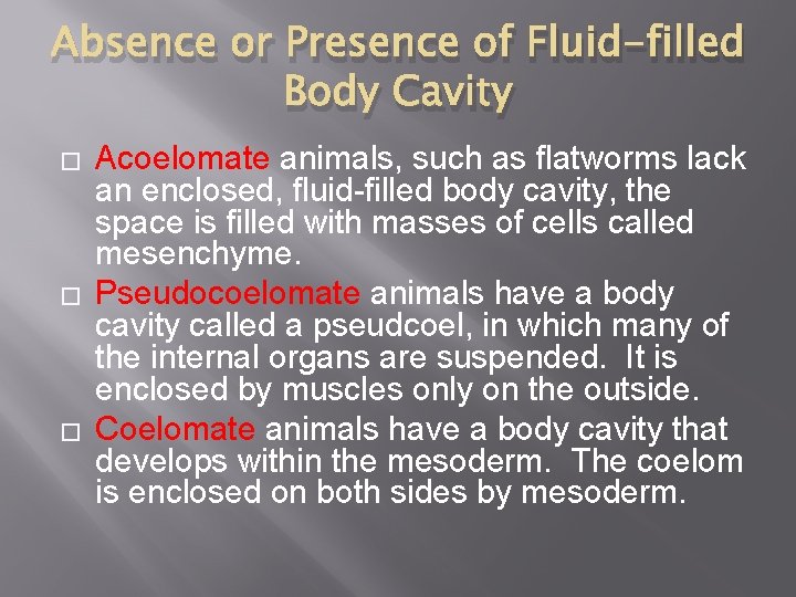 Absence or Presence of Fluid-filled Body Cavity � � � Acoelomate animals, such as