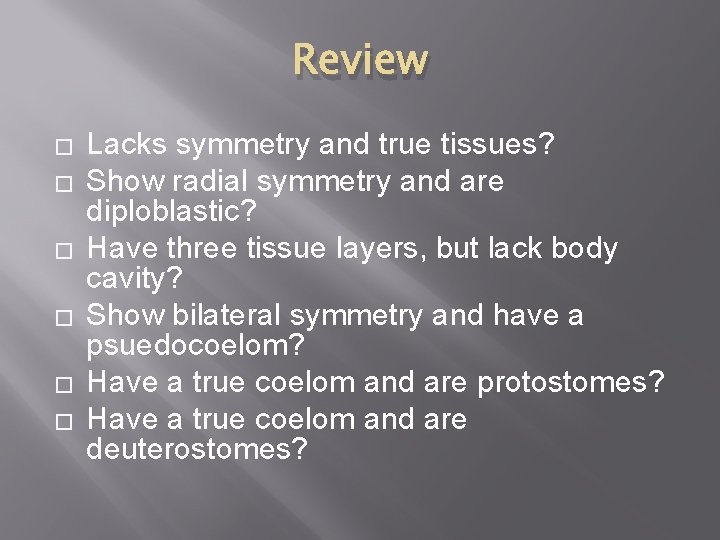 Review � � � Lacks symmetry and true tissues? Show radial symmetry and are