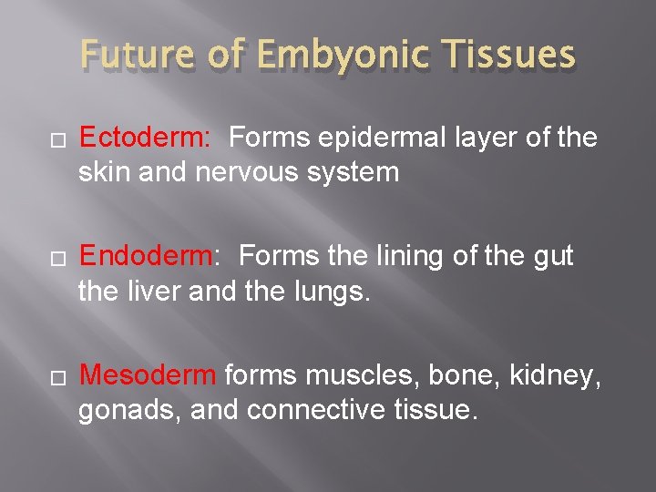 Future of Embyonic Tissues � � � Ectoderm: Forms epidermal layer of the skin
