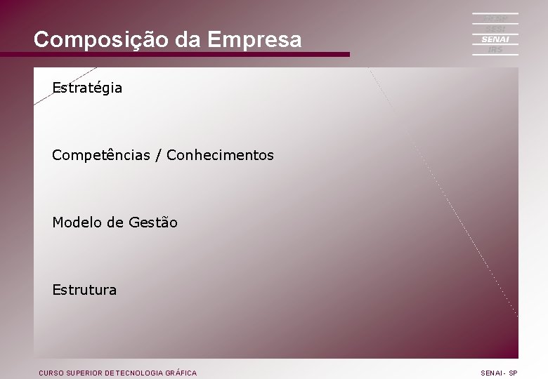 Composição da Empresa Estratégia Competências / Conhecimentos Modelo de Gestão Estrutura CURSO SUPERIOR DE