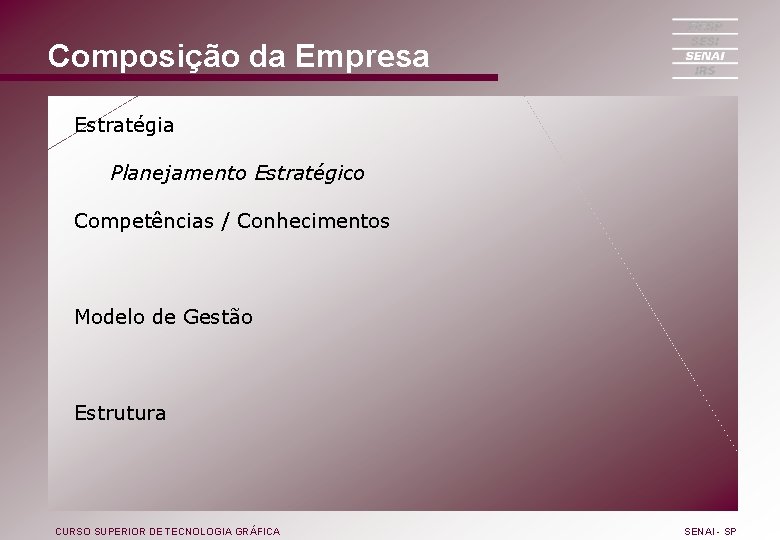 Composição da Empresa Estratégia Planejamento Estratégico Competências / Conhecimentos Modelo de Gestão Estrutura CURSO