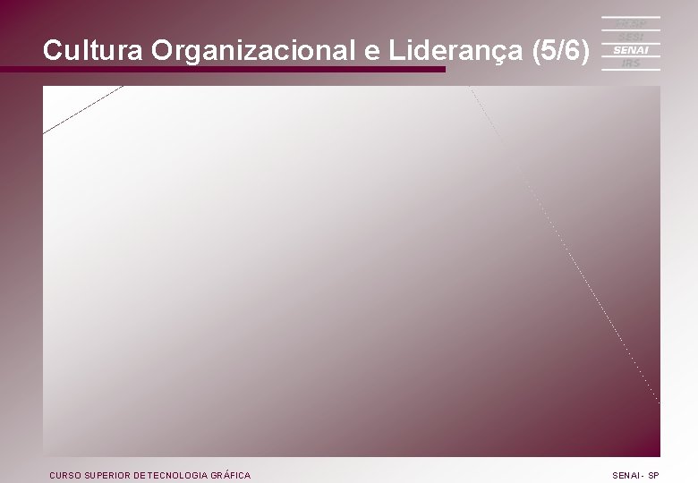 Cultura Organizacional e Liderança (5/6) CURSO SUPERIOR DE TECNOLOGIA GRÁFICA SENAI - SP 