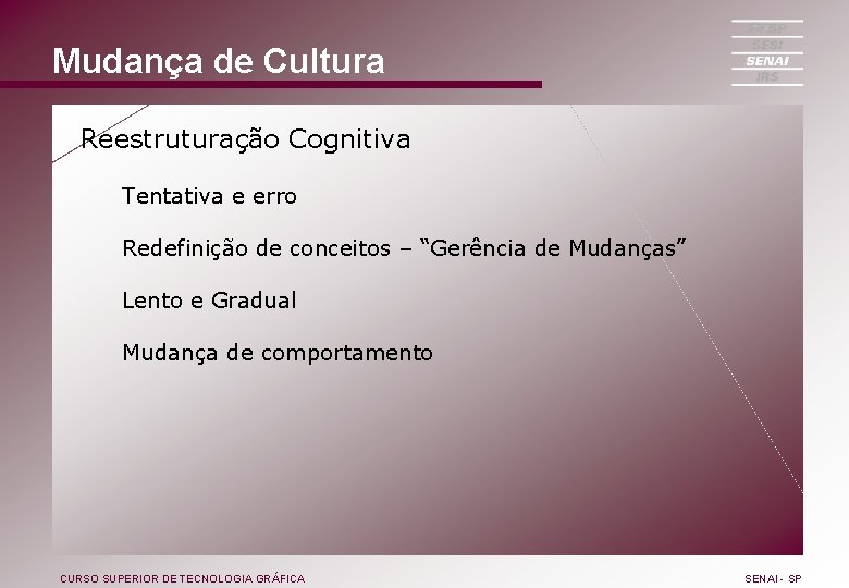 Mudança de Cultura Reestruturação Cognitiva Tentativa e erro Redefinição de conceitos – “Gerência de