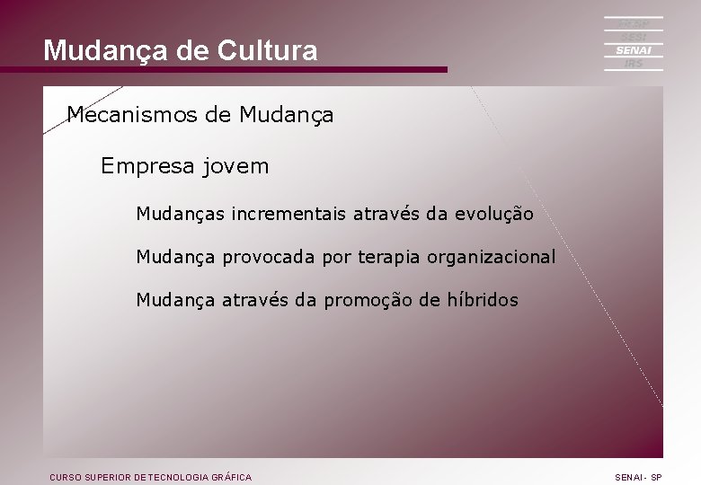 Mudança de Cultura Mecanismos de Mudança Empresa jovem Mudanças incrementais através da evolução Mudança