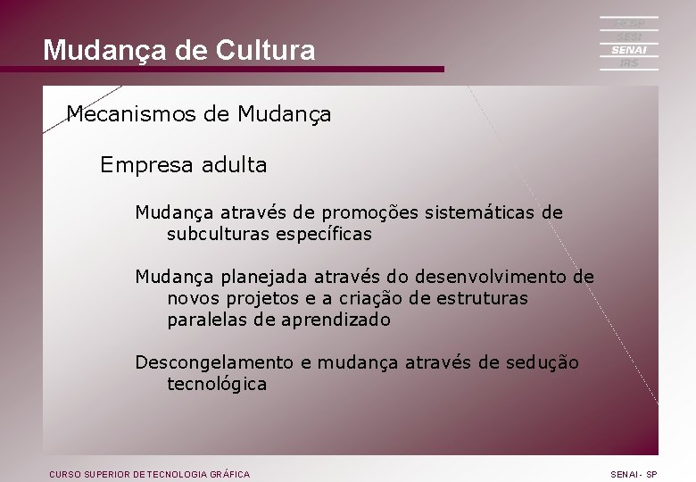 Mudança de Cultura Mecanismos de Mudança Empresa adulta Mudança através de promoções sistemáticas de