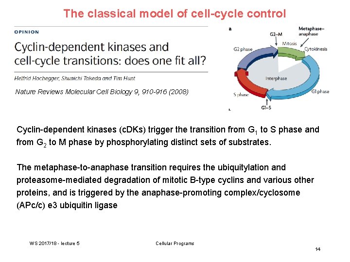 The classical model of cell-cycle control Nature Reviews Molecular Cell Biology 9, 910 -916