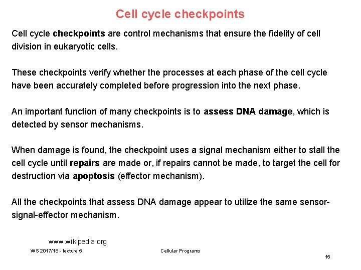 Cell cycle checkpoints are control mechanisms that ensure the fidelity of cell division in