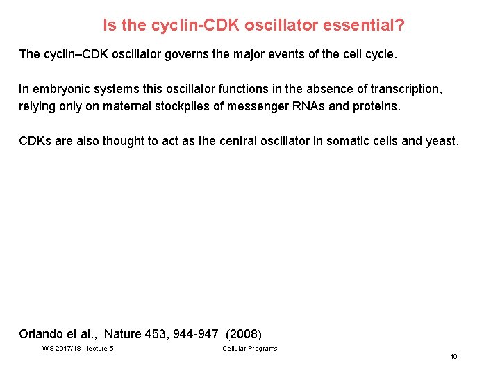 Is the cyclin-CDK oscillator essential? The cyclin–CDK oscillator governs the major events of the