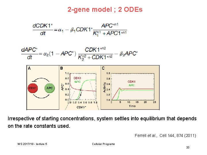 2 -gene model ; 2 ODEs Irrespective of starting concentrations, system settles into equilibrium
