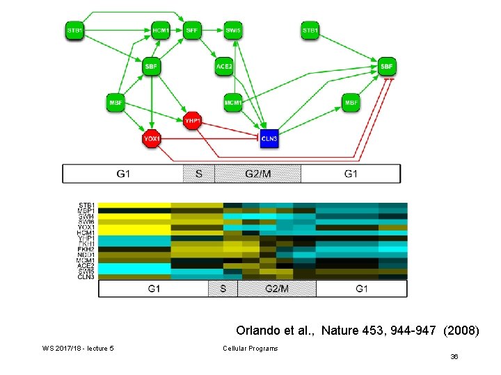 Orlando et al. , Nature 453, 944 -947 (2008) WS 2017/18 - lecture 5