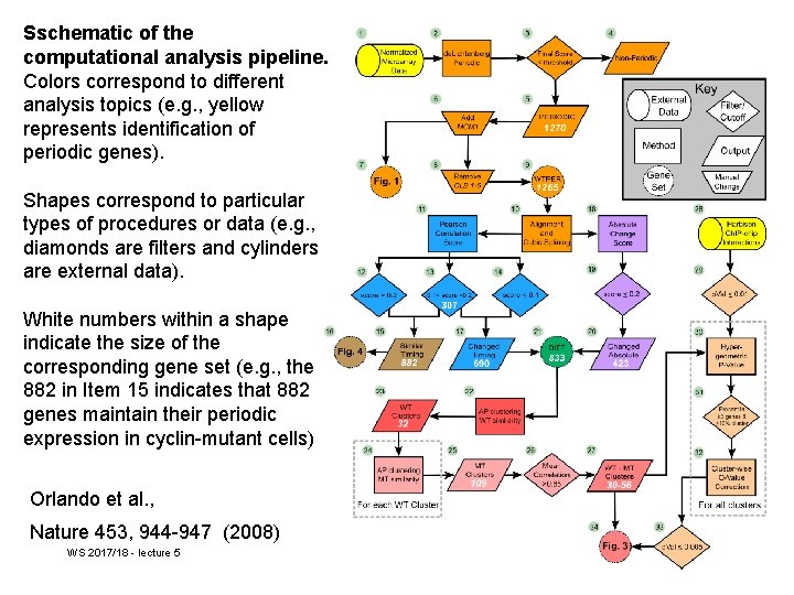 Sschematic of the computational analysis pipeline. Colors correspond to different analysis topics (e. g.