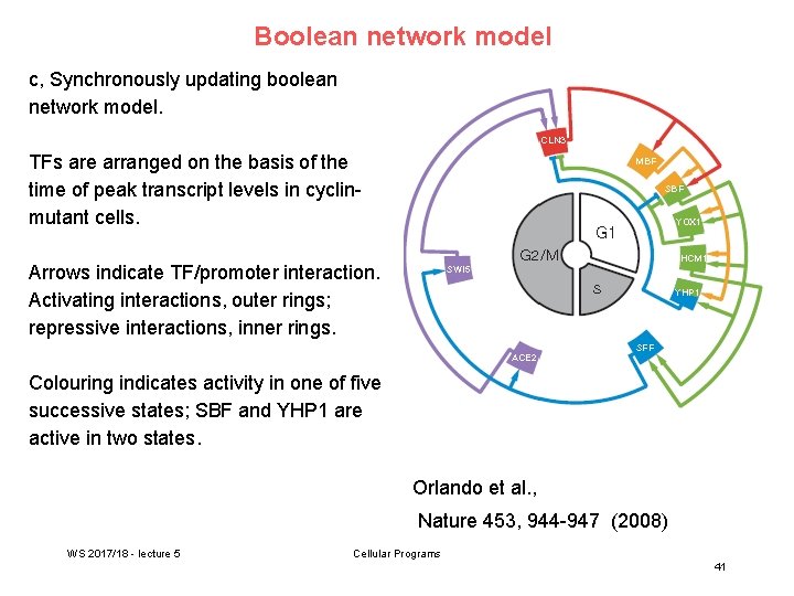 Boolean network model c, Synchronously updating boolean network model. TFs are arranged on the